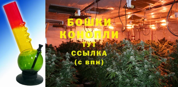 spice Пересвет