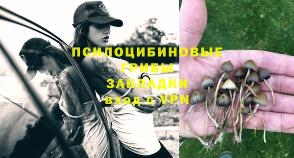 ПСИЛОЦИБИНОВЫЕ ГРИБЫ Видное