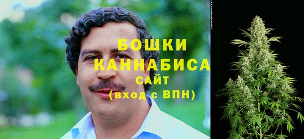 винт Ветлуга