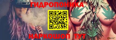 ешки Лесосибирск