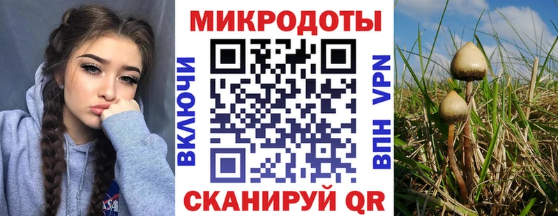 где можно купить   Котлас  Галлюциногенные грибы Magic Shrooms 